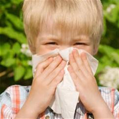 Митови за пролетните алергии