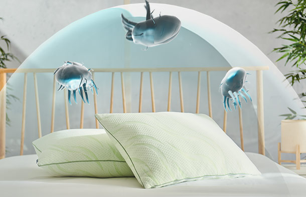 Dormeo Nature's Pillow Classic